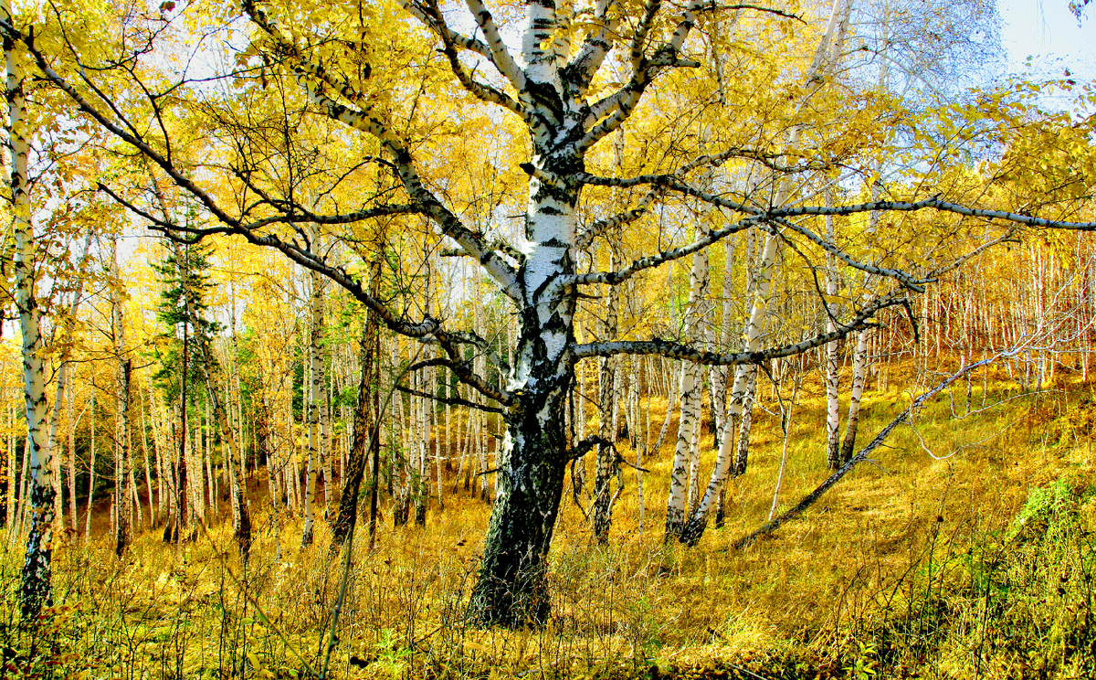 Фотография, стихотворение Василия Глуцкого
