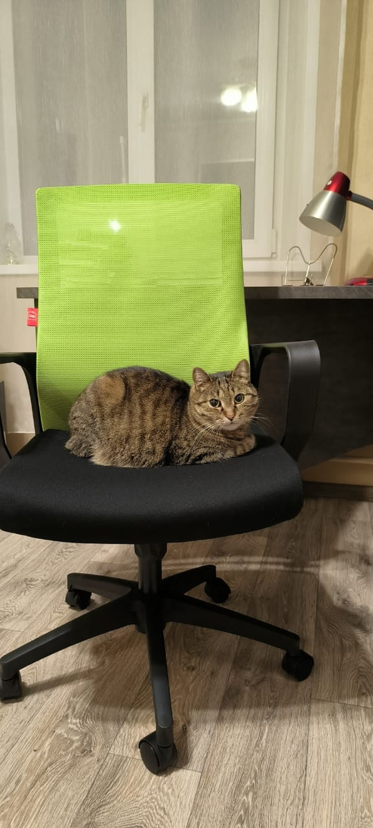 Типа босс такой, ну вы поняли) БОСС