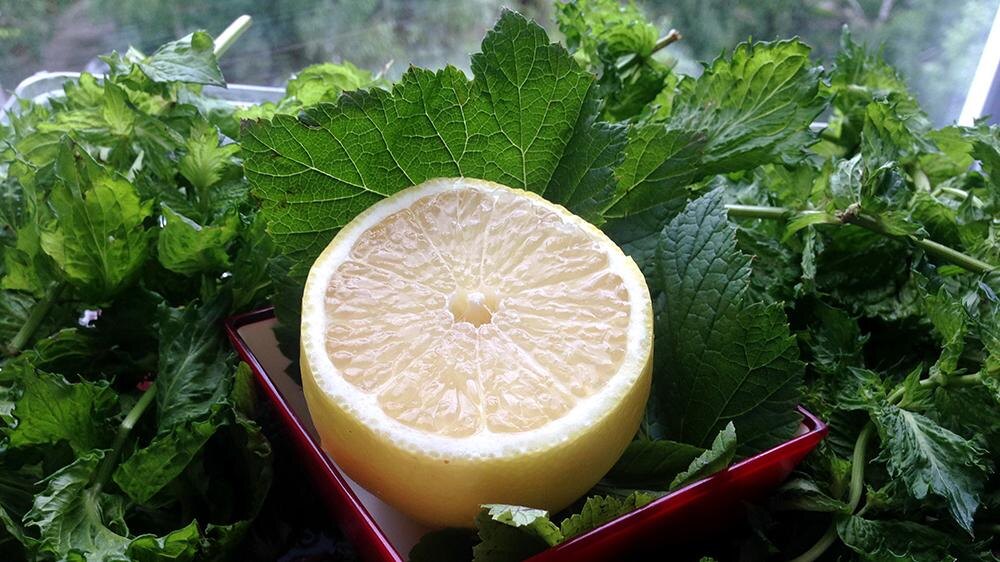 Фото: Alexander Legky/Global Look Press