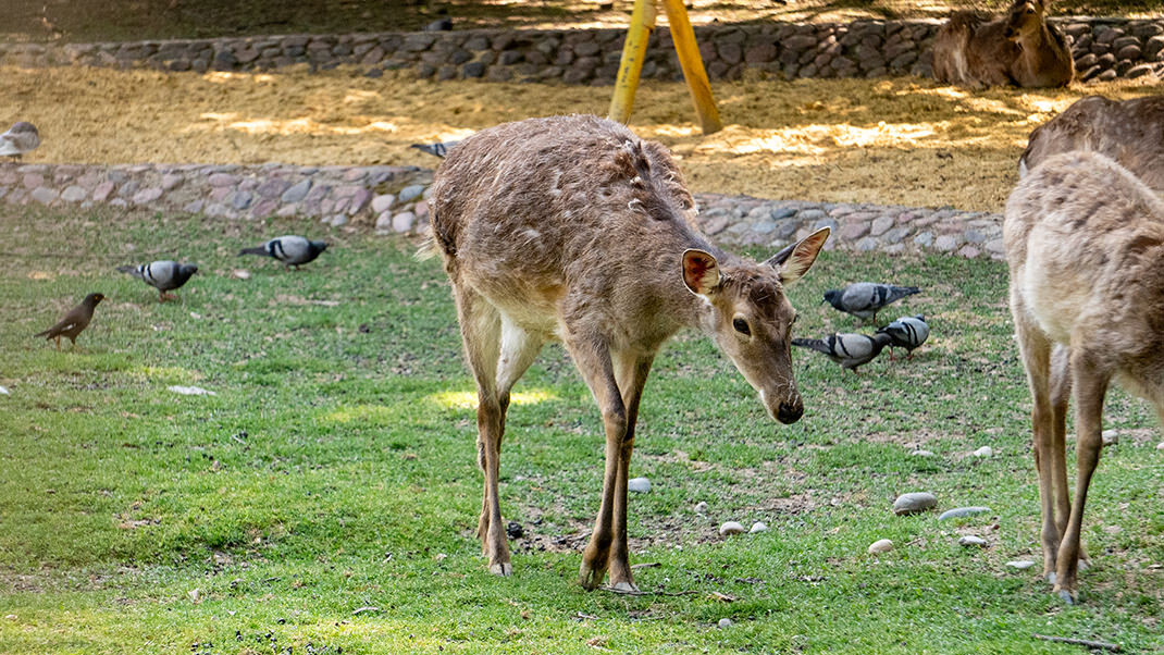 Я был здесь в начале мая