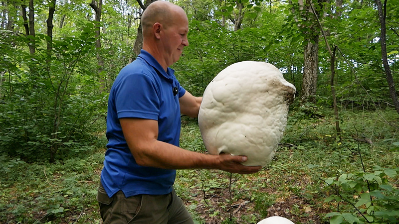    © АО "ТВ Центр"