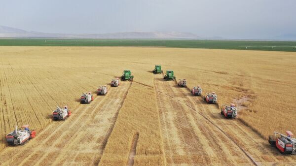    © Foto / Пресс-служба Президента Республики Таджикистан