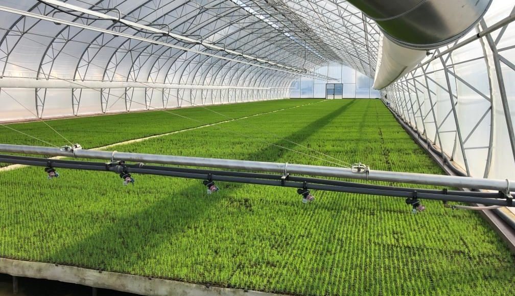    Фото: Администрация Костромской области