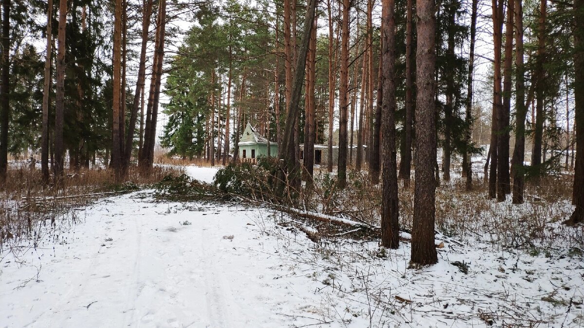 К нам в первое время " похаживали" мародёры. Пилили сосны.