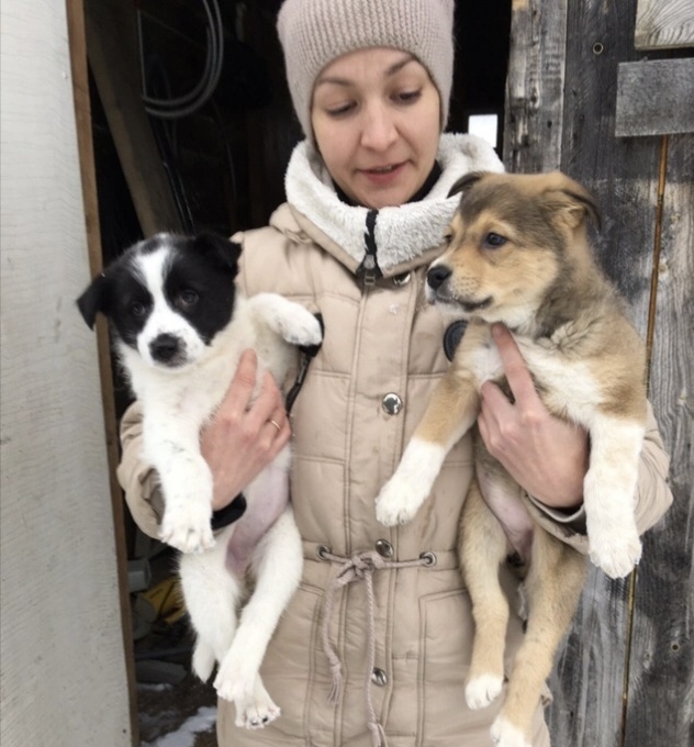 Катя , Стеша и Соня . Этим щенкам повезло, они дома.