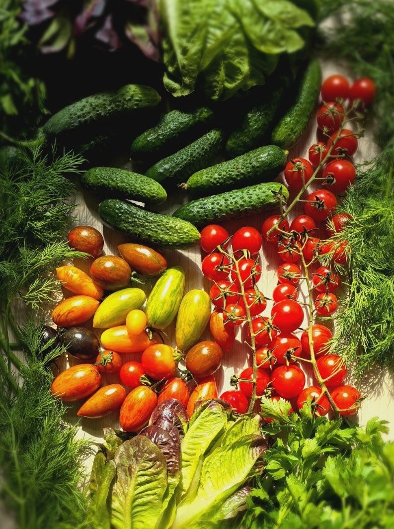БИО овощи, салаты и зелень на myfresh.ru 💚