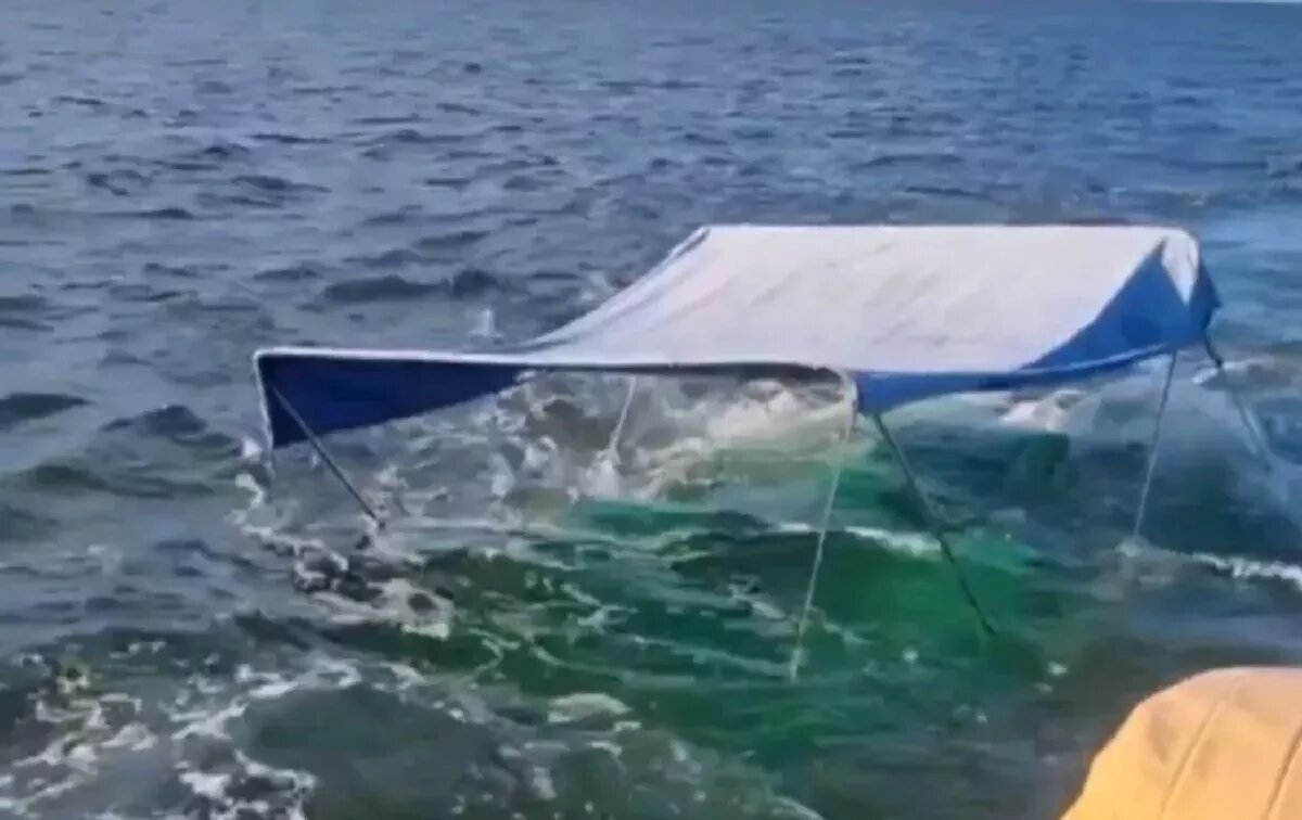 Скрин с видео. 