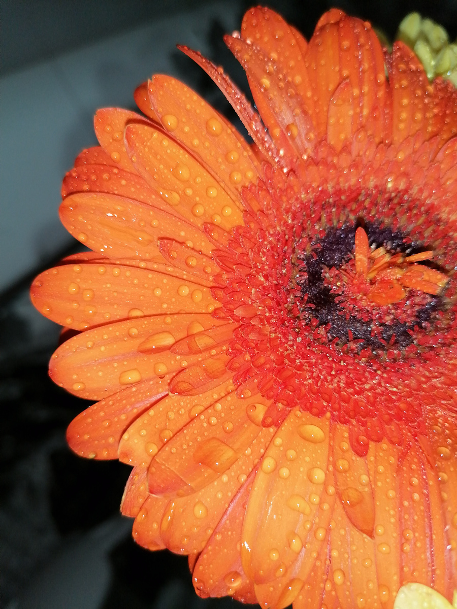 Фото автора 🏵️