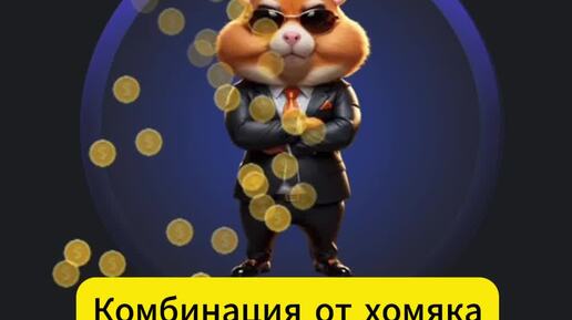 Хамстер 7 августа