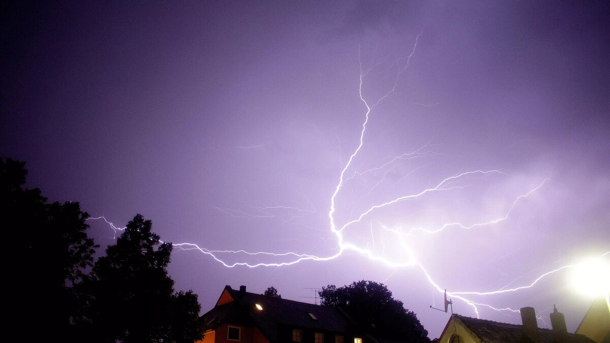     Автор: Pxhere Источник: видео ТГ канал «Это Ростов»