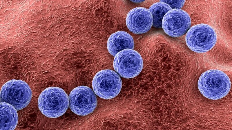 (Kateryna Kon/Shutterstock)