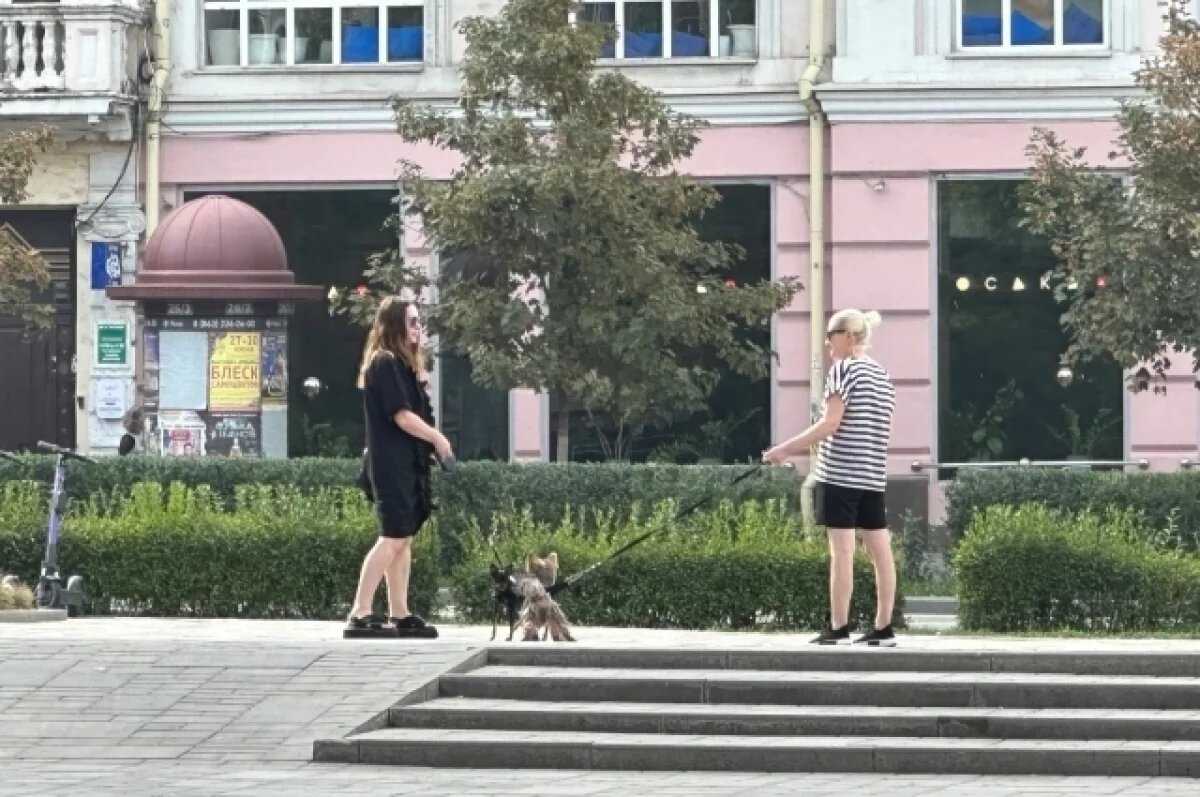    В Ростове проходят рейды по контролю соблюдения правил выгула собак