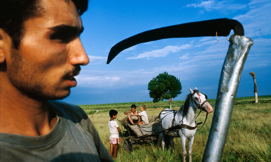 Почему у цыган нет своего государства?