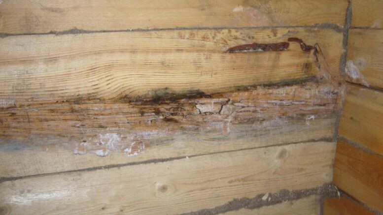 Гниение вертикально расположенного бруса