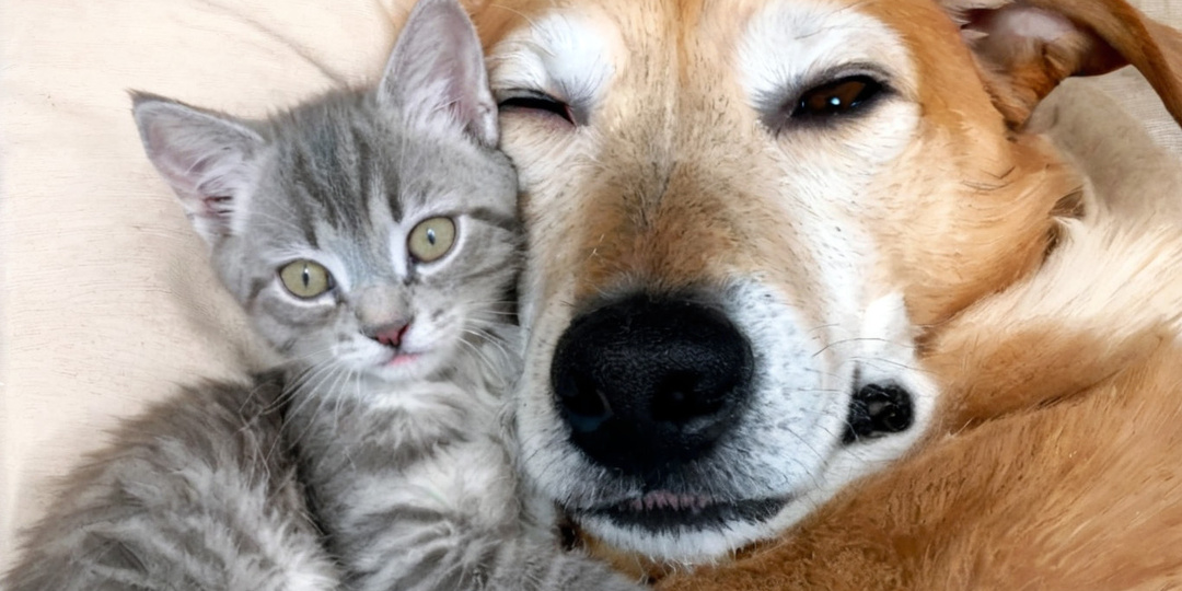 Цена опоздания