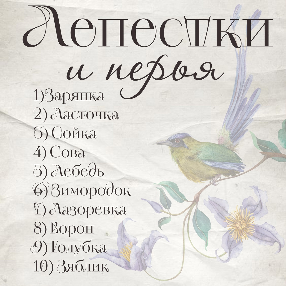 Список организаторов марафона-птицы