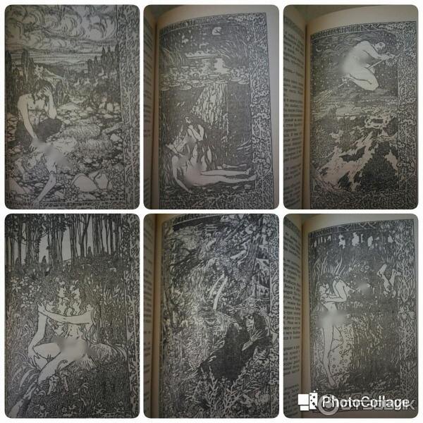 Иллюстрации в книге