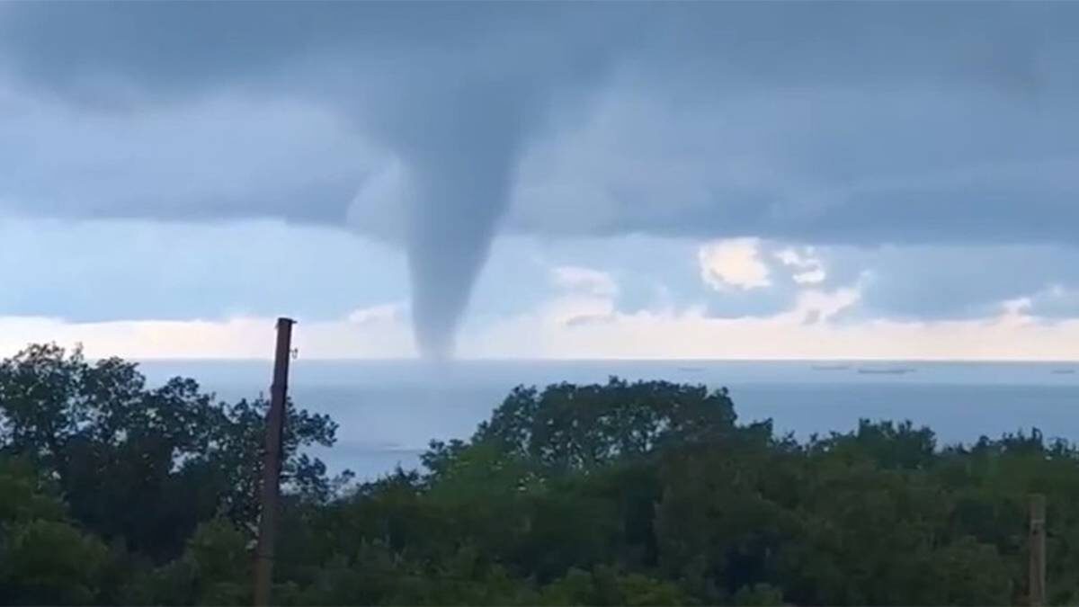    Фото: Telegram / RT на русском