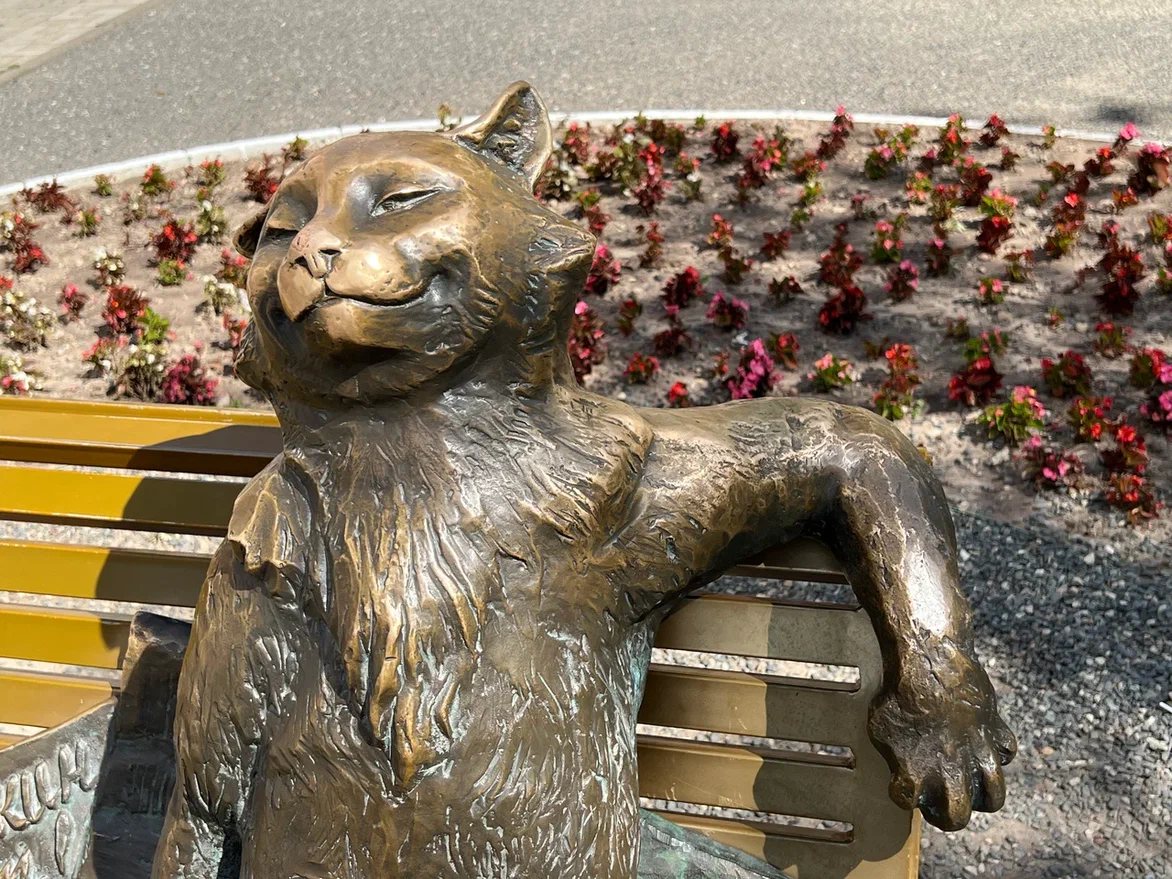 Йошкин кот. Фото автора. Листайте галерею, чтобы увидеть больше деталей