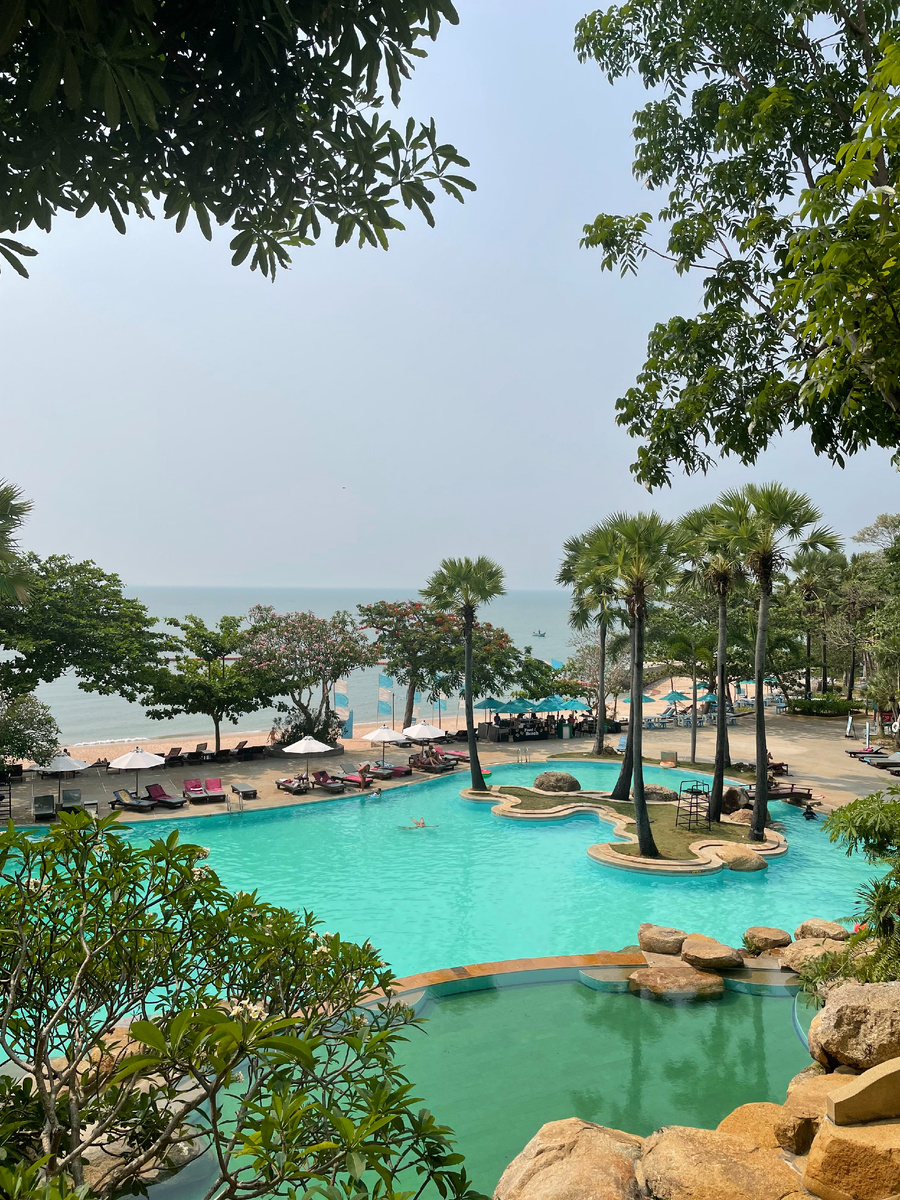 Вид с ресепшн 