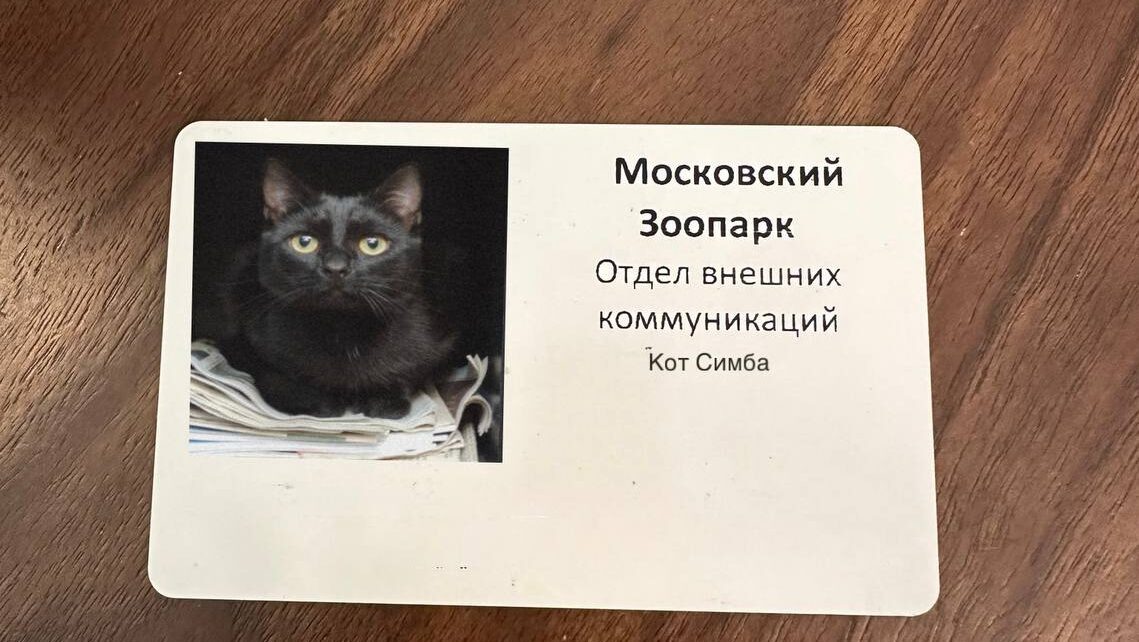    Фото: телеграм-канал Светланы Акуловой