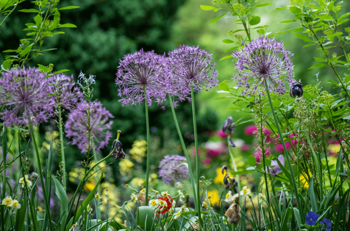    Фото: Unsplash Мария Байдек