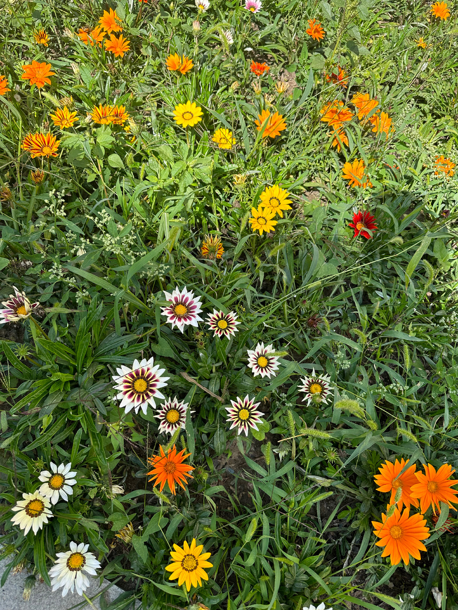 Например смотрите на прекрасное и станете добрее ))
