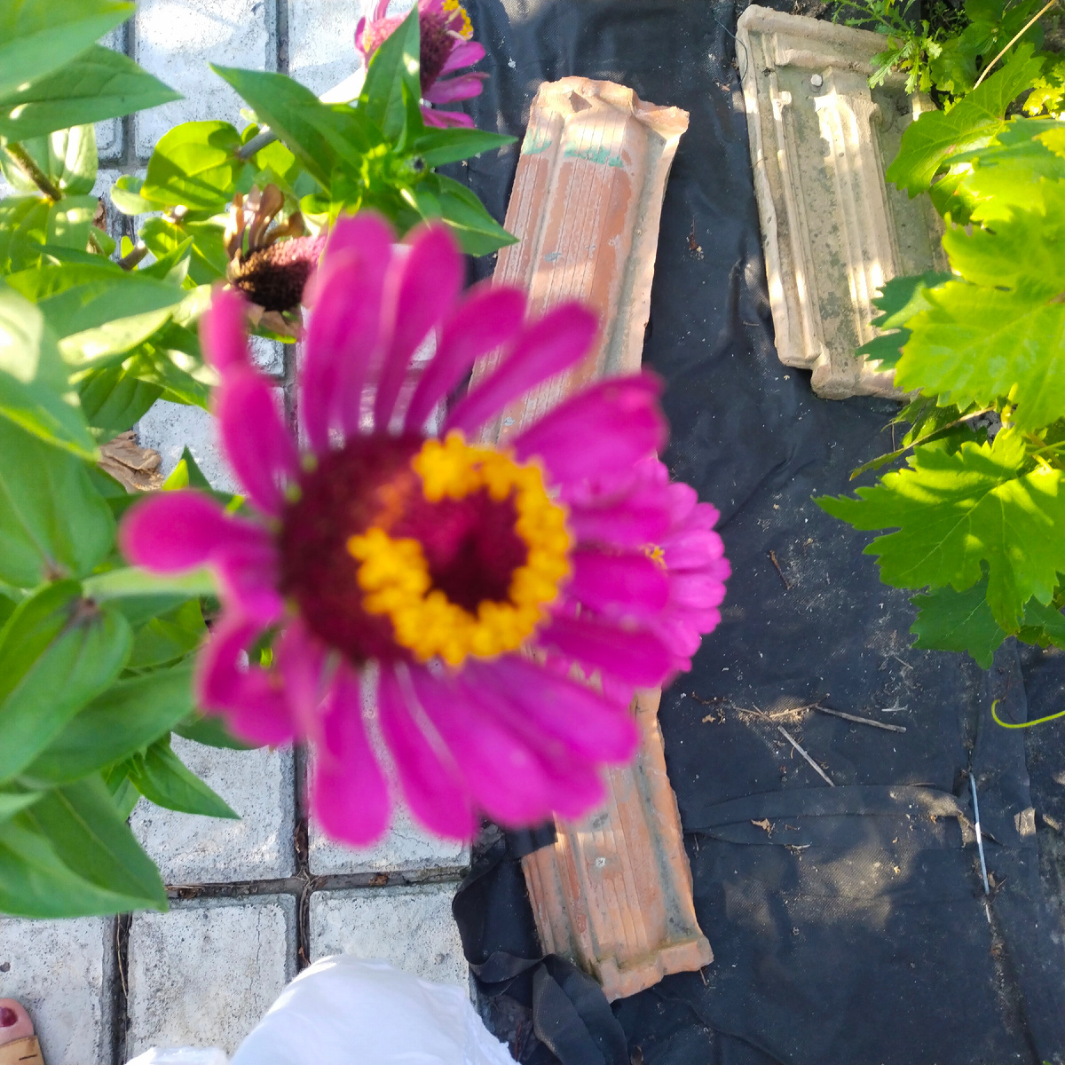 Фото автора канала