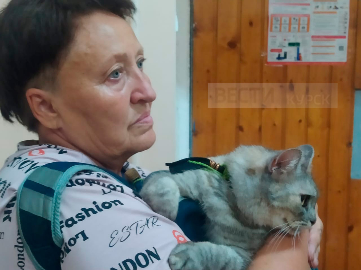   Курск принимает беженцев из Суджи