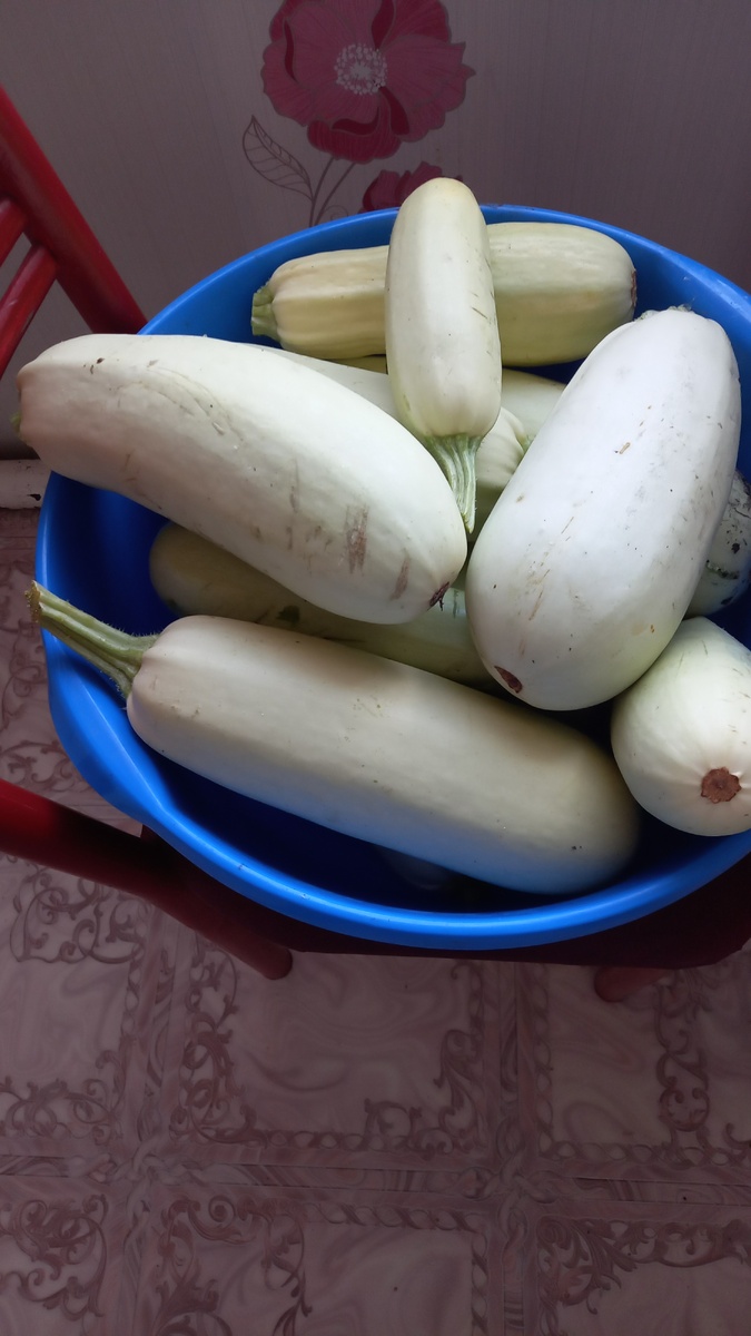 Тазик чудо овоща)