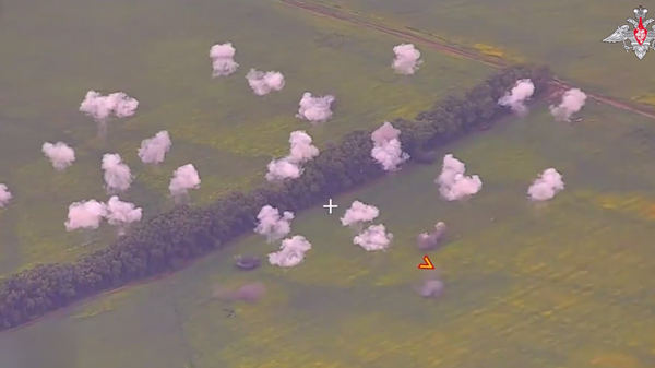    © Министерство обороны РФ