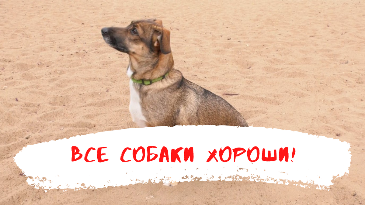 Марта