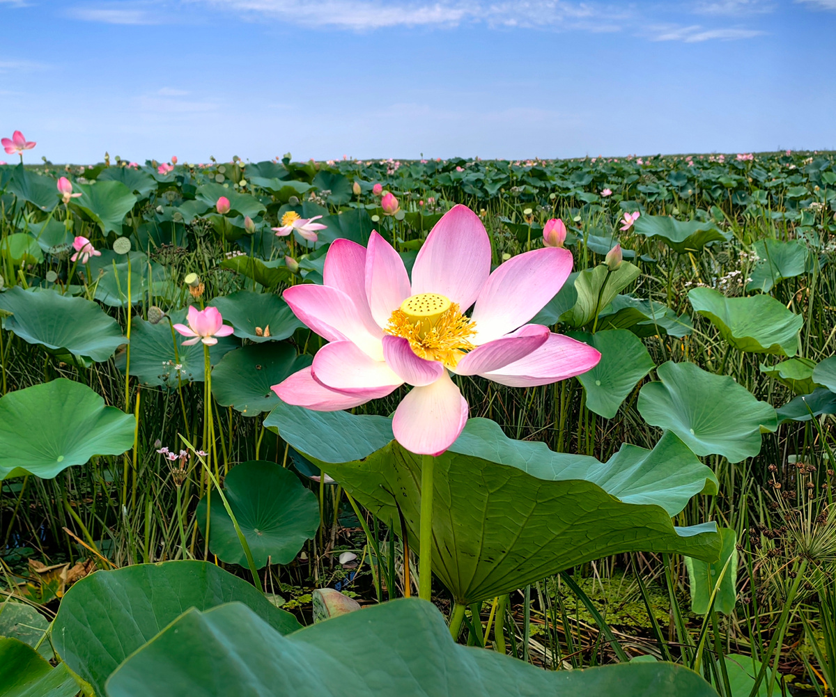 Ждет нас. А мы уже едем!