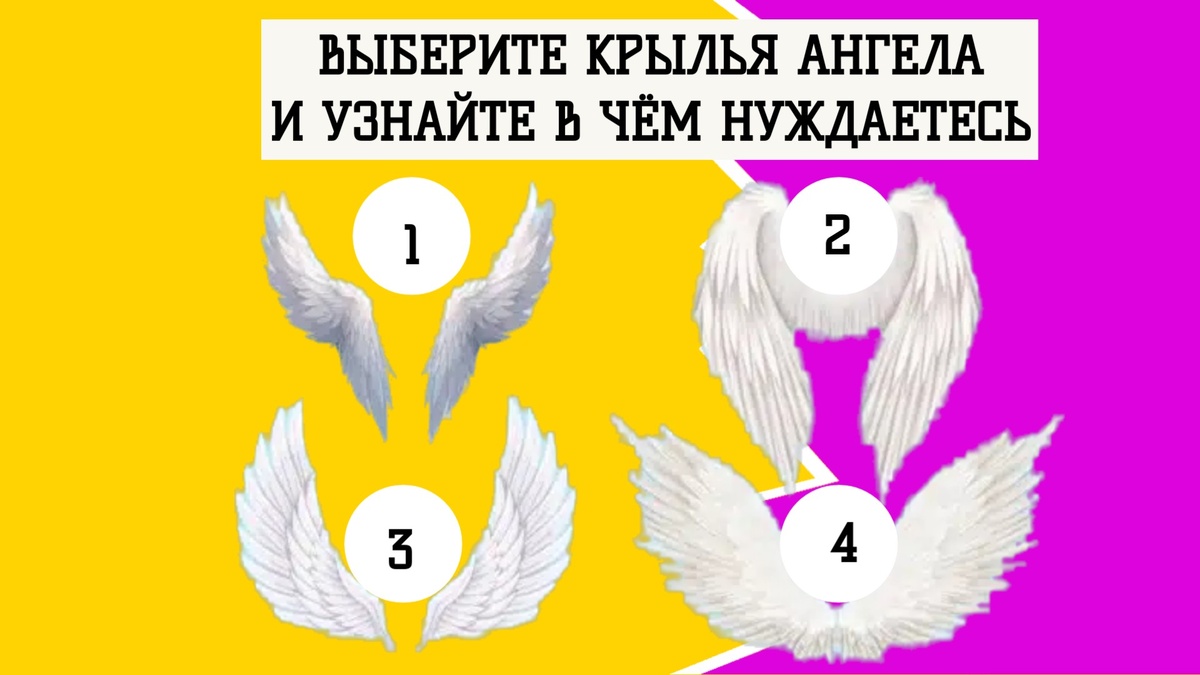 Коллаж: 2u.pt