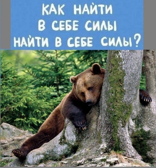 Наш июль прошел примерно так (фото: яндекс.картинки)