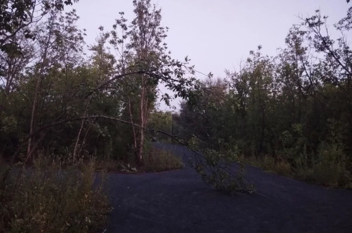    В Оренбурге разрушается отреставрированный парк «Берёзка»