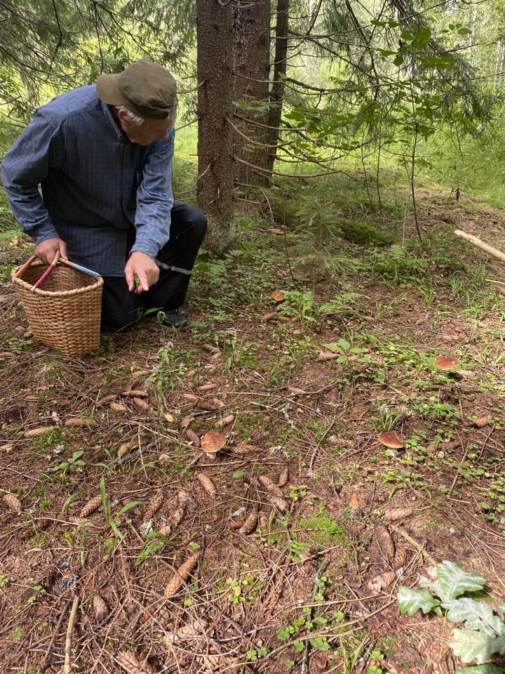 Четвре белых рядом, пятый - под ногами фотографирующего
