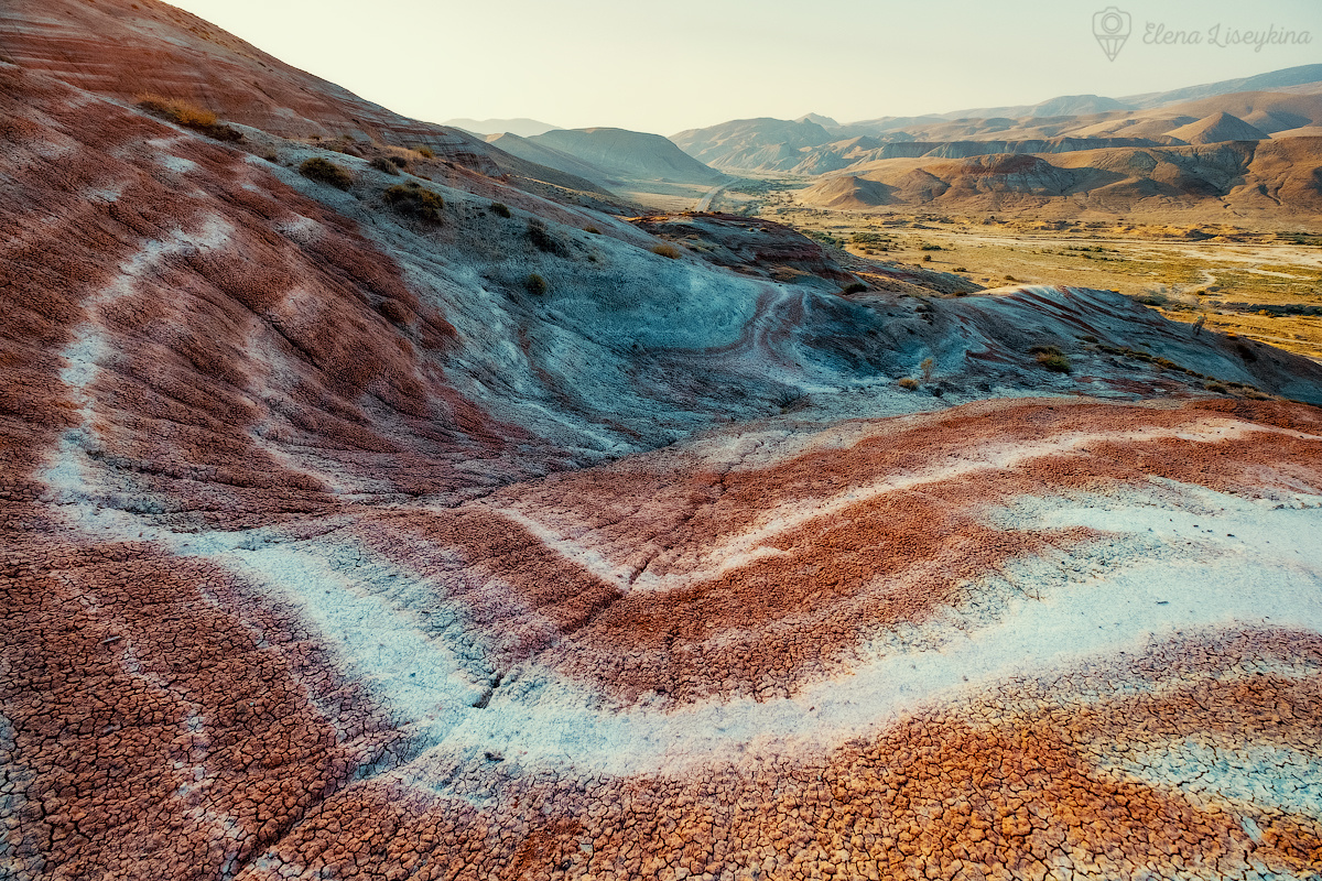 Вот такую красоту сфотографировала тем утром. А если бы испугалась, то осталась бы без крутых фотографий.
