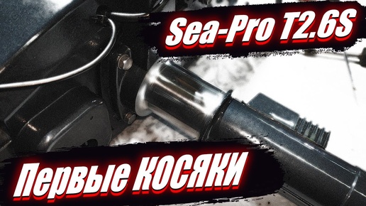 Первые Косяки |Sea-pro T2.6S|