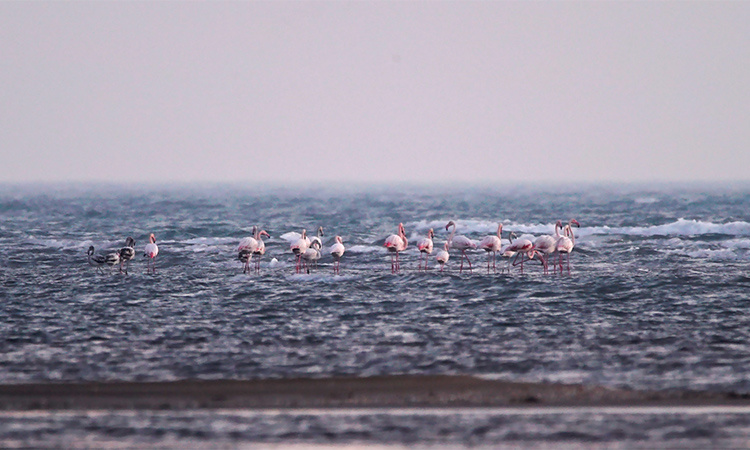 Фото: Игорь Бышнев