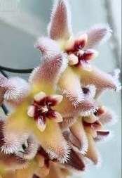 Фото интернет 