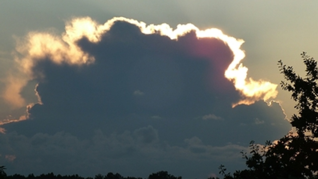    Фото: Victor Lisitsyn/Globallookpress.