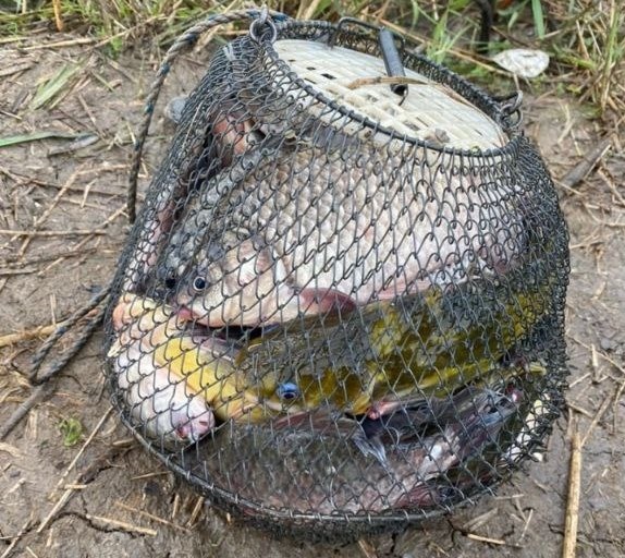 приметы о рыбалке