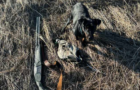 Охота и приметы