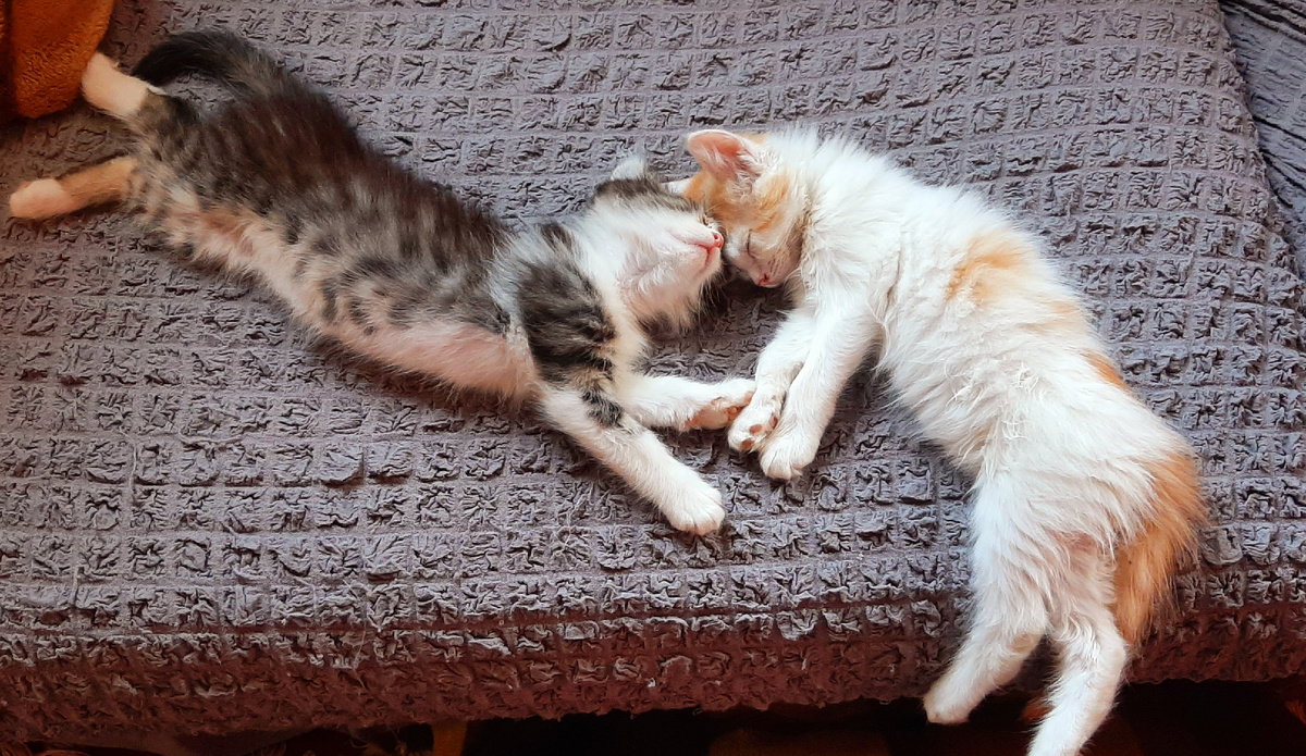 Нет больше маленьких