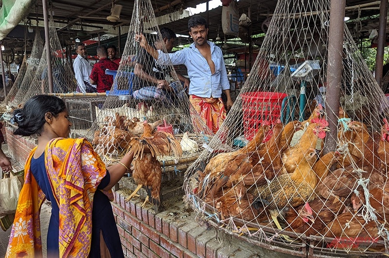   Фото:  АиФ/ Георгий Зотов