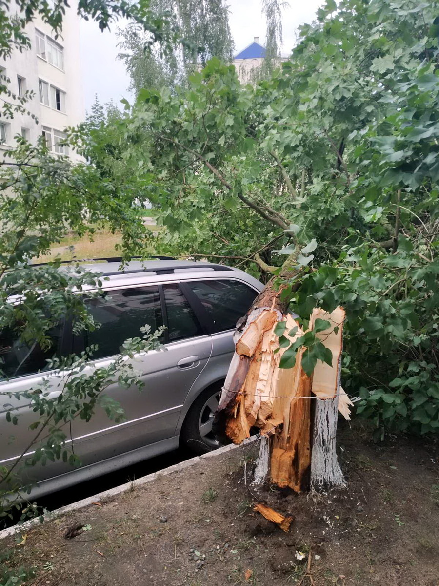 Ураган -14.07.2024, Мозырь, Беларусь. Съёмка - 14.07.2024. Автор: Алена Добронравова