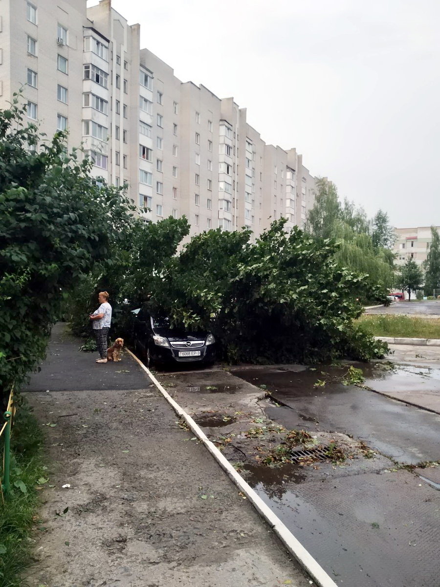 Ураган -14.07.2024, Мозырь, Беларусь. Съёмка - 14.07.2024. Автор: Алена Добронравова