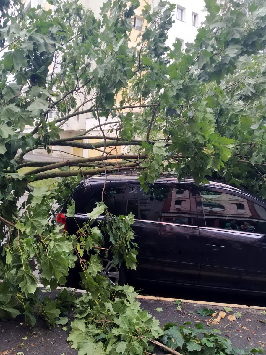 Ураган -14.07.2024, Мозырь, Беларусь. Съёмка - 14.07.2024. Автор: Алена Добронравова