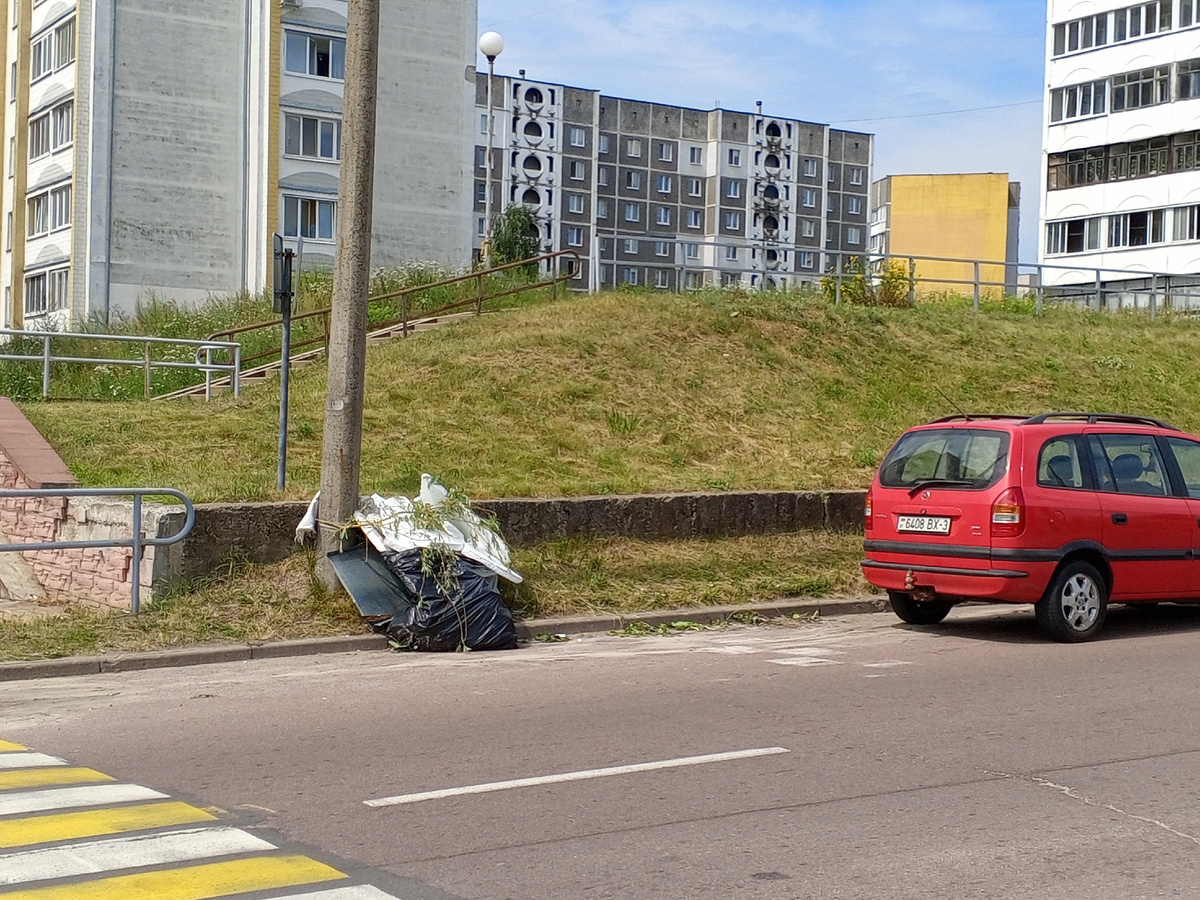 Ураган -14.07.2024, Мозырь, Беларусь. Съёмка - 15.07.2024. Автор: Алена Добронравова